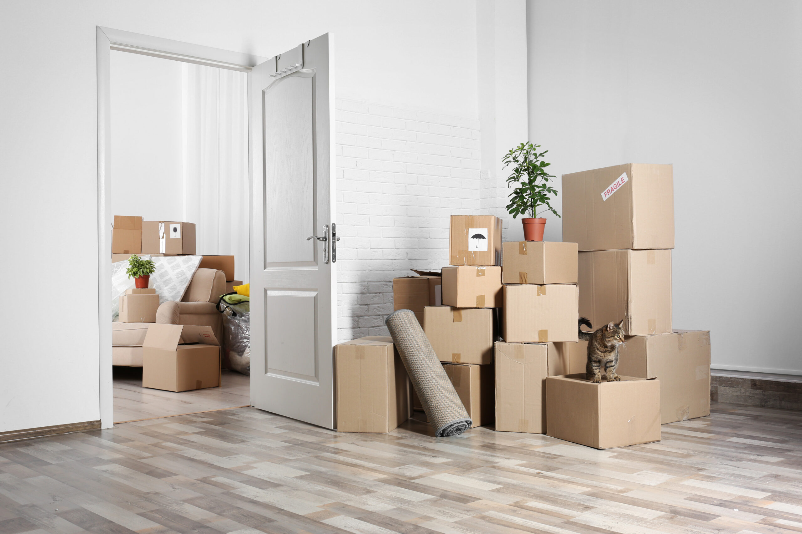 Moving Boxes